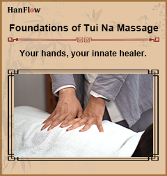 HanFlow Self-Massage Series
